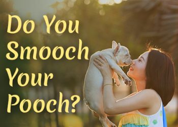 North Reading dentist, Dr. Judy Marcovici at Inertia Dental, discusses bad bacteria that can be passed on by dog kisses. Don’t smooch your pooch!