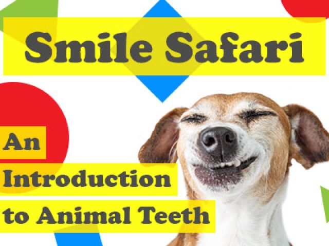 Smile Safari: An Introduction to Animal Teeth (featured image)